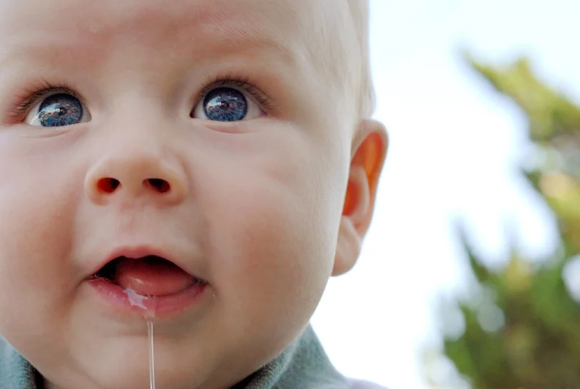 Saliva and Oral Health
