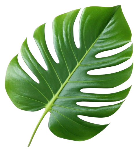 leaf